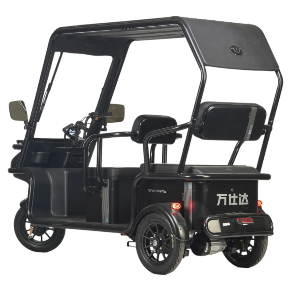 Электротрицикл Wanshida NIPLA 570 60V 1000Вт Красный 1