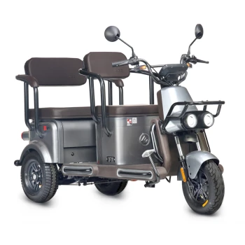 Электротрицикл Wanshida U1-X 60V 800Вт Серый